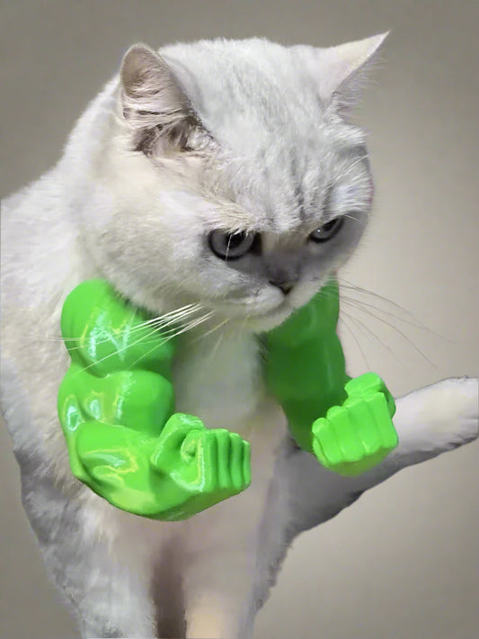 🐾חתול בשרירים – הטרנד שכבש את הרשת💪